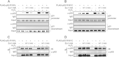 Fig 15