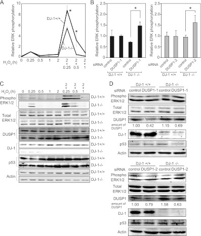 Fig 11