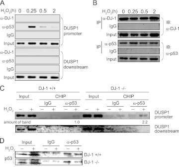 Fig 10