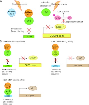 Fig 16