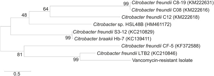 Figure 2