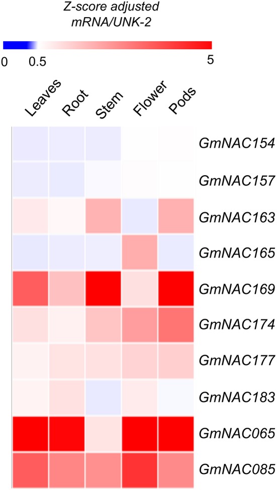 Figure 5