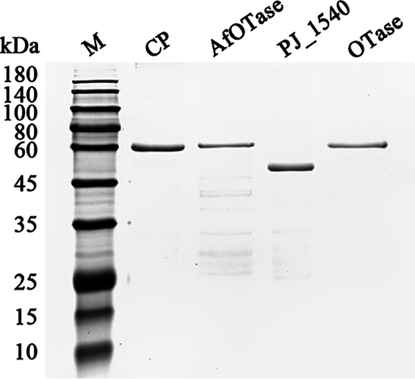 FIG 5