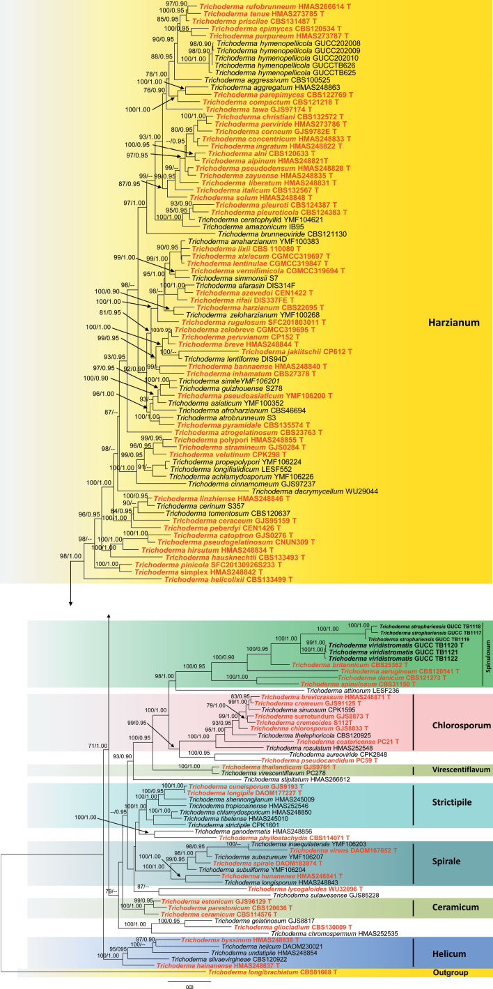 Figure 2.