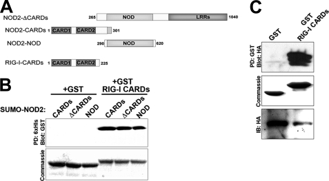 FIGURE 3.