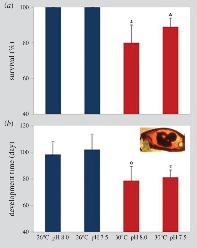 Figure 1.