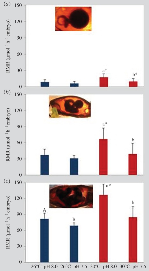 Figure 3.