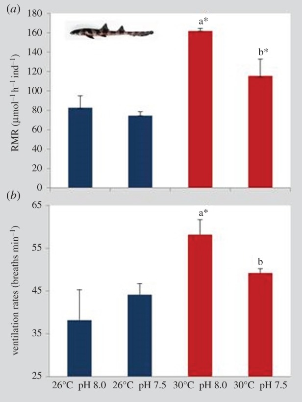 Figure 6.