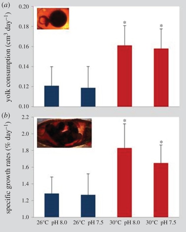 Figure 2.