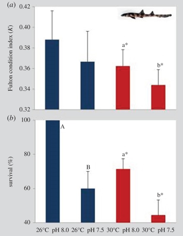 Figure 5.