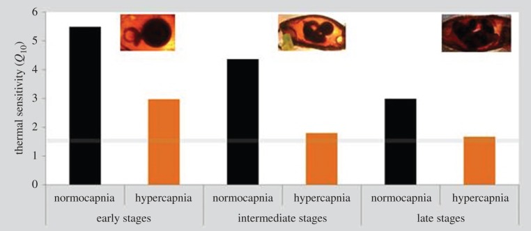 Figure 4.