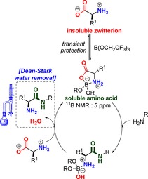 Scheme 11
