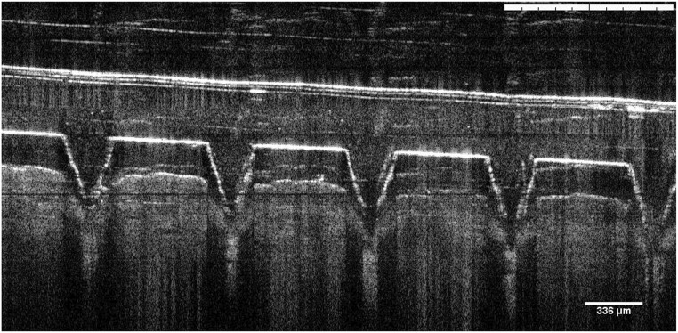 Fig. 5