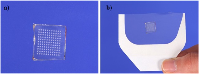 Fig. 2