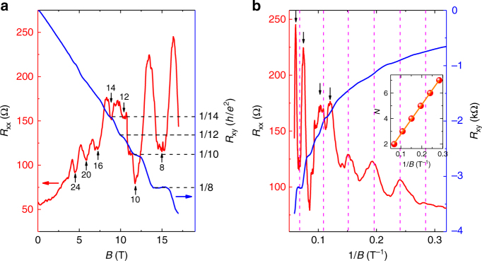 Fig. 3