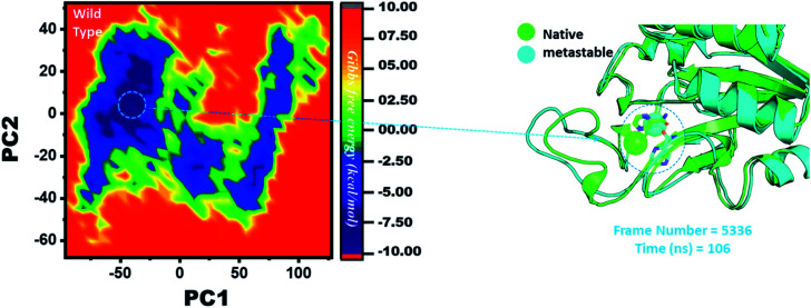 Fig. 8