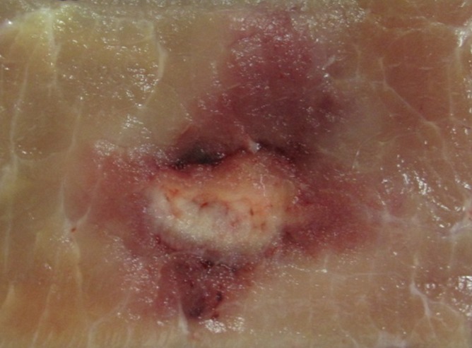 Figure 2c: