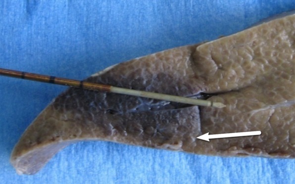 Figure 7c: