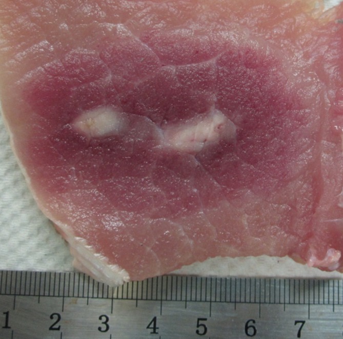 Figure 2a: