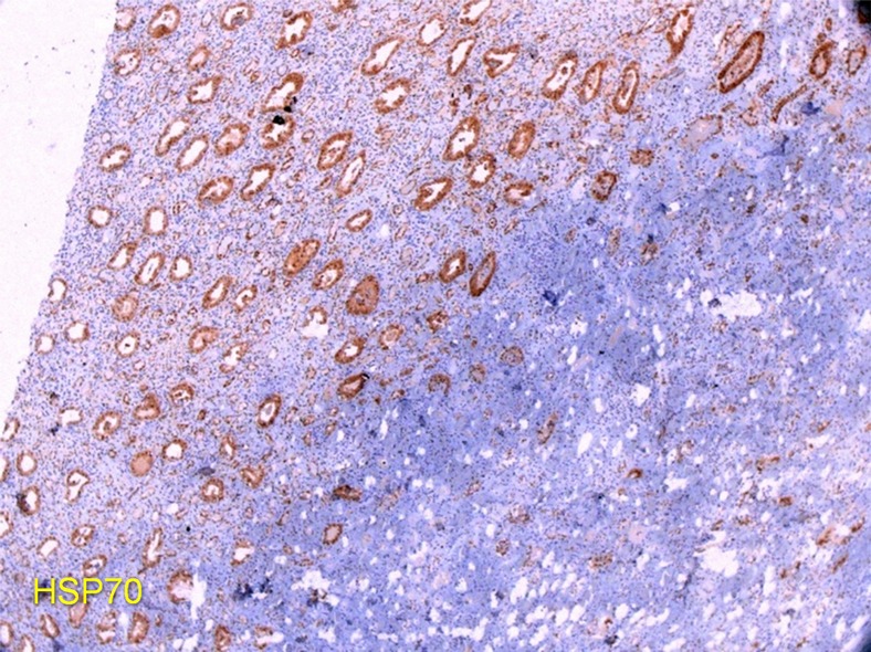 Figure 6b: