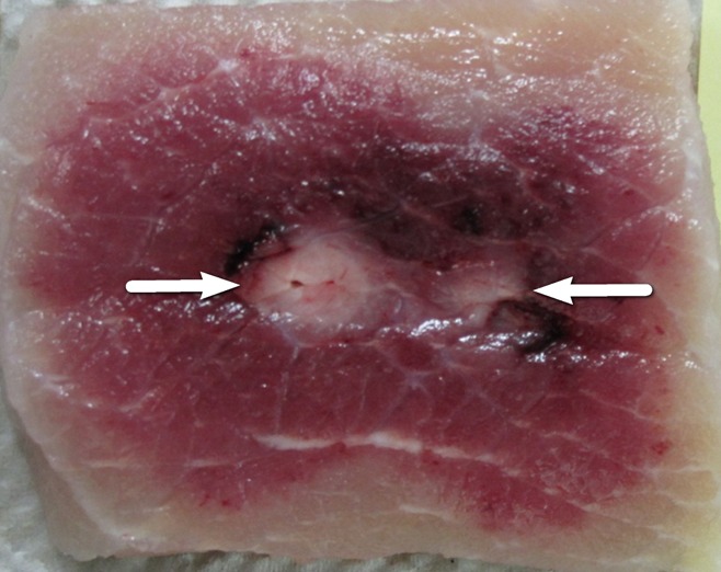 Figure 3: