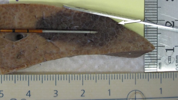 Figure 7b: