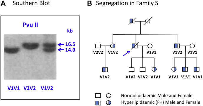 Fig. 1