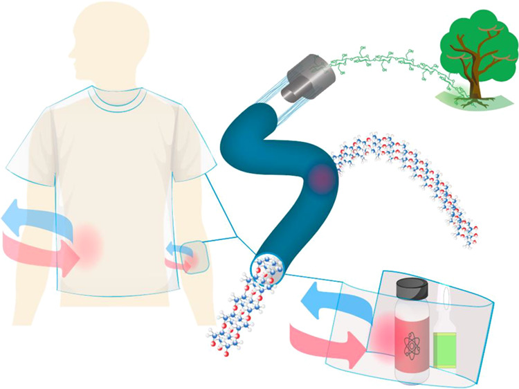 graphic file with name ap2c00177_0007.jpg