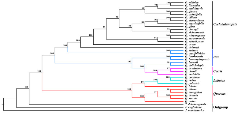 Figure 5