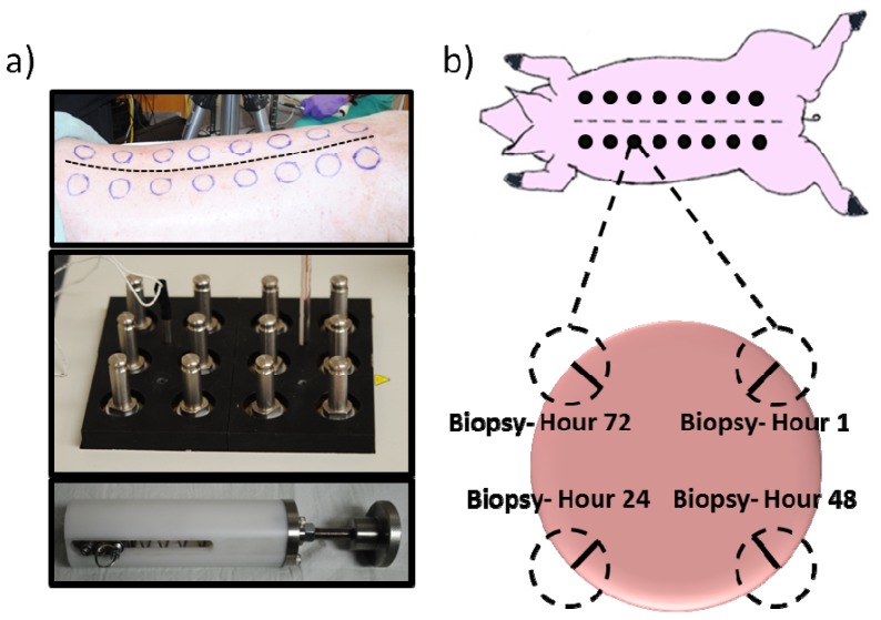 Fig. 2