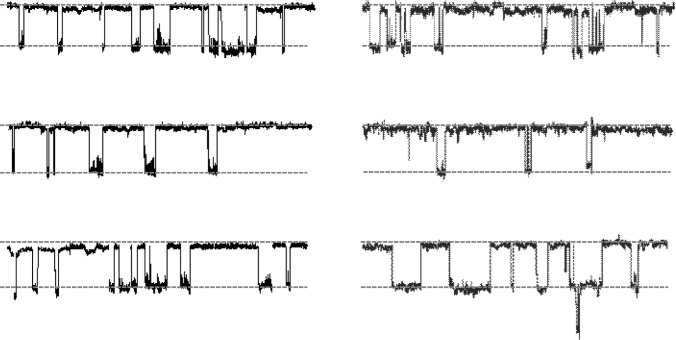 Fig. 3.