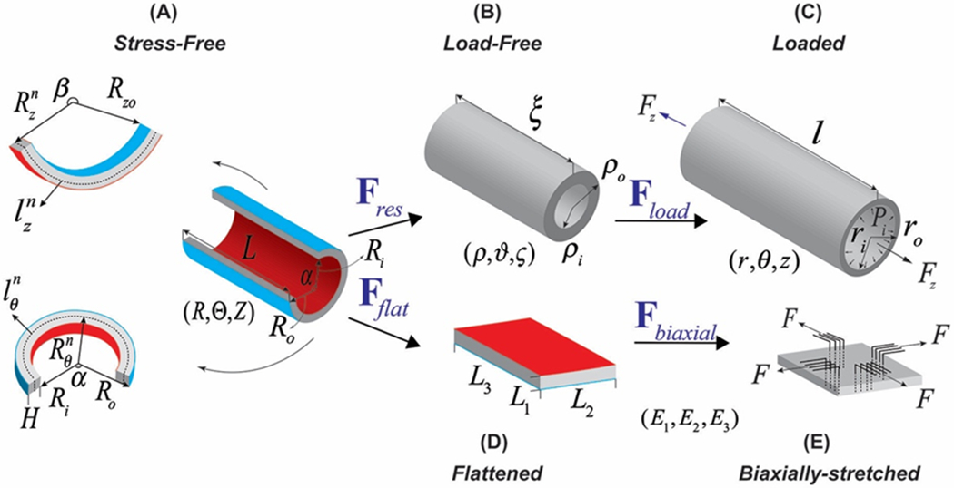 Figure 1: