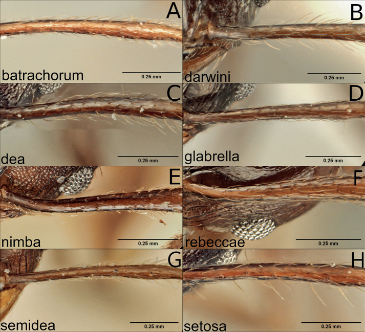 Figure 13.