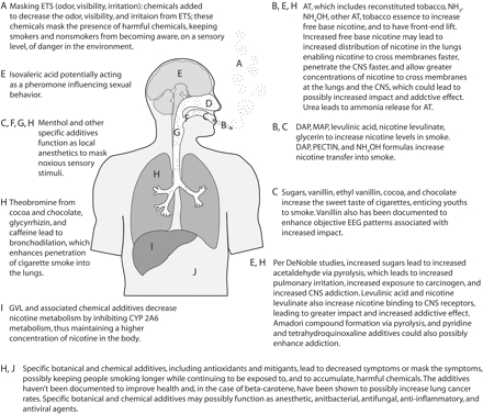 FIGURE 1—