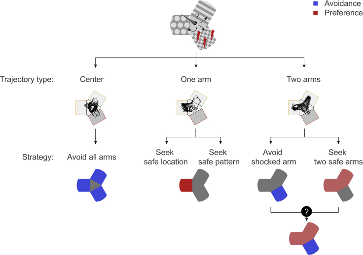 Figure 7