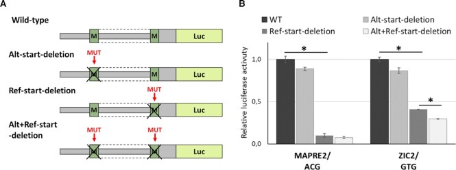 Figure 5.