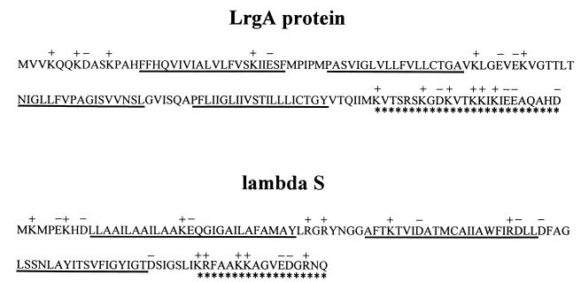 FIG. 8