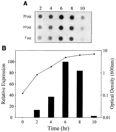 FIG. 6