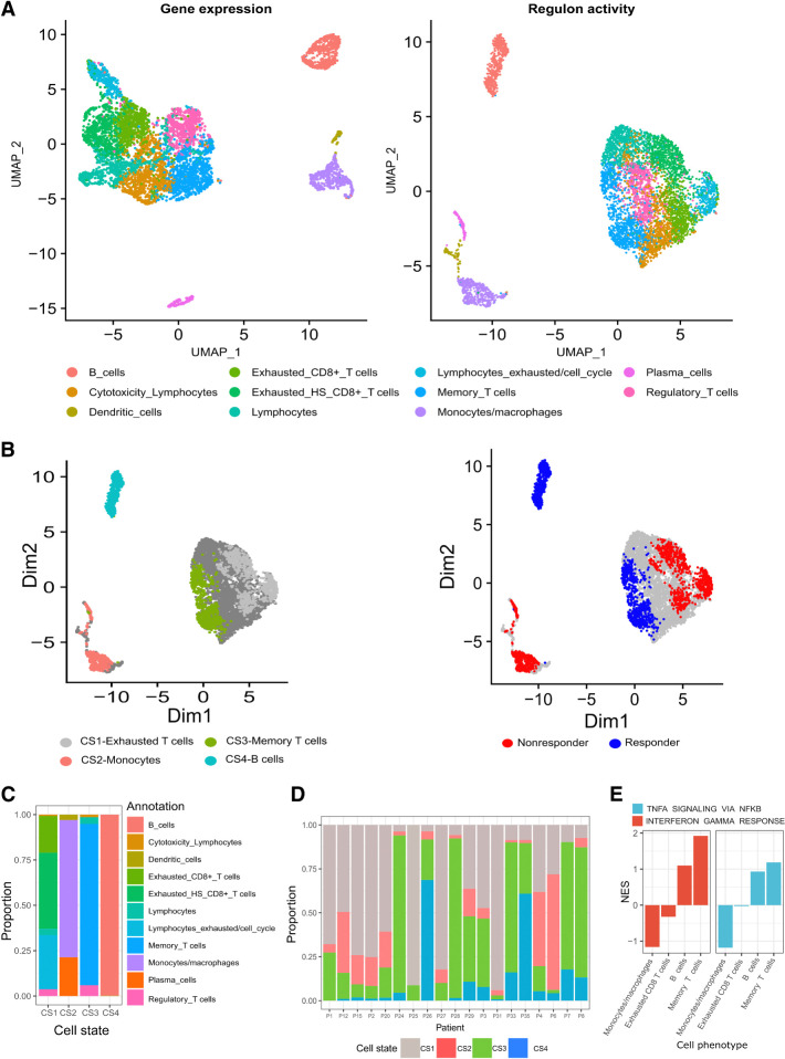 Figure 1. Analysis of scRNA-seq data from samples taken from 19 patients with melanoma before ICI therapy (GSE120575; ref. 8). A, Dimensionality reduction, clustering and UMAP projection of tumor-resident immune cells. Left, Clustering according to gene expression profiles. Right, Clustering according to regulon activity profiles. B, UMAP embeddings of pretreatment cells, annotated on the basis of DAseq identified cell states (left), and their association with response (right). C, Distribution of immune cell phenotypes in the four DAseq identified cell states. D, The proportion of the DAseq identified cell states in each patient sample. E, The normalized enrichment scores (NES) of IFNG and TNFA pathways according to DEGs between cells from a cell phenotype (x-axis labels) that are either included or excluded from their associated DAseq cell state. Scores were calculated using GSEA.