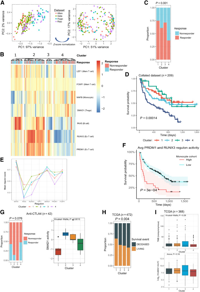 Figure 3. The regulons correlate with response in four independent bulk RNA-seq datasets (10–13). A, PCA and clustering of patients from four datasets according to their regulon scores using ssGSEA, before (left image) and after (right image) z-score normalization. B, Hierarchical clustering of patients according to their ssGSEA inferred regulon scores, which are represented by the color scale bar. Pearson correlation was used as the distance metric. C, The proportion of responders and nonresponders in each cluster. The P value was calculated with a chi-squared test. D, Kaplan–Meier survival curves for each cluster, compared using a log-rank test. E, Mean regulon scores for each cluster identified using hierarchical clustering. F, Cox regression analysis comparing the association of PRDM1 and RUNX3 mean activity and survival in patients with high and low activity scores for MLCs. Statistical significance was inferred using the log rank test. G, Patients treated with anti-CTLA4 monotherapy. Left, The proportion of responders and nonresponders in each cluster following hierarchical clustering with regulon scores. Right, The relative activity of the SMAD1 regulon in each identified cluster (Kruskal–Wallis test). H, The proportion of TCGA samples that experienced a survival event (living/deceased) in each cluster identified using regulon scores (chi-squared test). I, Tumor mutational burden by nonsynonymous mutations (top, Kruskal–Wallis) and mutation count in exome sequencing data (bottom, ANOVA) in patients from TCGA across the identified clusters. For each box plot, the central black lines represent the median, whereas boxes extend from the first to the third quartiles. The whiskers extend to 1.5 times the interquartile range beyond the box.