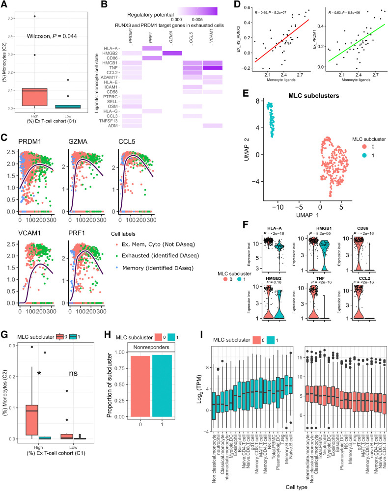 Figure 4. The relationship between MLCs and exhausted T cells. A, The percentage of MLCs in patients with either high or low proportions of the exhausted T-cell state, compared using a Wilcoxon test. B, NicheNet inferred interactions between genes expressed in MLCs and the PRDM1 and RUNX3 regulons in exhausted T cells. C, The average expression pattern of MLC target genes identified by NicheNet across a pseudo-time trajectory in memory (Mem), cytotoxic (Cyto), and exhausted (Ex) T cells. The line represents the genes average expression with respect to pseudo-time, as inferred by a generative additive model. The cells are annotated as Memory, Exhausted, or Cyto T cells, and whether they were identified by DAseq. D, Pearson correlation between the top five MLC ligands from NicheNet, scored in the Van Allen dataset using ssGSEA, and the activity of RUNX3 and PRDM1. E, UMAP plot of MLC state after subclustering. The cells are colored by identified clusters. F, The expression level (log TPM) of the top MLC ligands from NicheNet in the MLC subclusters (two-sided Wilcoxon). G, The percentage of cells from the MLC subclusters in patients with either high or low proportions of the exhausted T-cell state (two-sided Wilcoxon). The central black line represents the median; boxes extend from the first to the third quartiles; whiskers extend to 1.5 times the interquartile range beyond the box. H, The proportion of total cells from MLC subclusters in nonresponder patients. I, The expression levels of DEGs [Bonferroni-corrected q-value ≤0.05 and log2 (fold-change) > 0.25] between MLC subclusters in cell phenotypes from the protein atlas. The cell types are in increasing order based on the mean expression values of the DEGs.