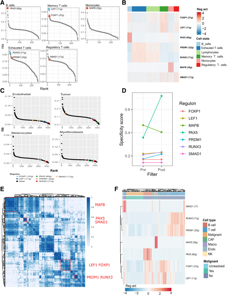 Figure 2. The regulons that define cell states of response. A, The rank of regulons in their associated cell state based on regulon specificity score (RSS). The numbers in parenthesis denote the number of genes in the regulon before pruning. B, Relative activity level of each regulon across each of the DAseq-identified cell states. C, The rank of regulons in nonimmune cells from an external basal cell carcinoma ICI dataset based on rss (GSE123814; ref. 9). D, RSS for each regulon pre- and postfiltering of target genes according to gene markers of their associated cell type. E, Identified regulon modules based on regulon CSI matrix, along with the representative TFs. The color scale bar denotes the CSI score. F, Relative activity (scaled) of the pruned regulons in single cell expression profiles of malignant and nonmalignant cell types from an external metastatic melanoma dataset (GSE72056; ref. 15). CAF, cancer-associated fibroblasts; macro, macrophages; endo, endothelial cells; NK, natural killer.