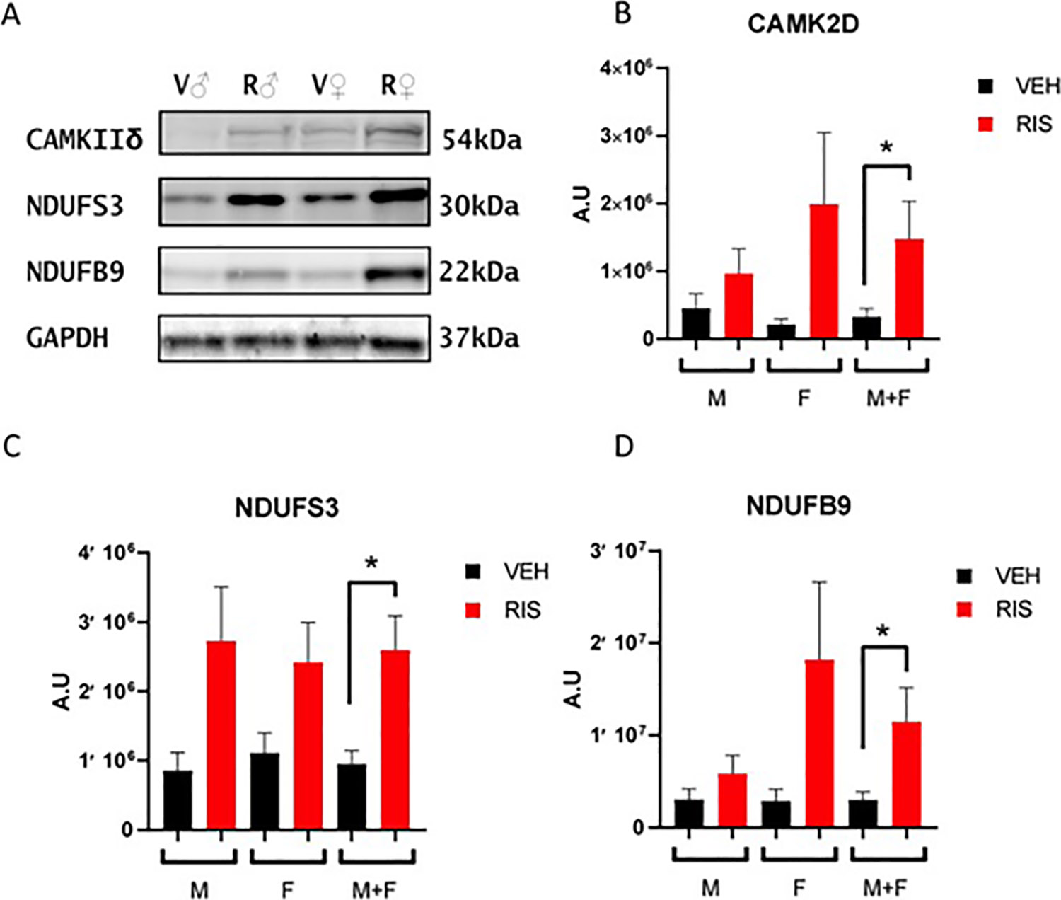 Figure 2: