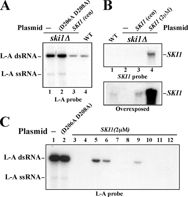 FIGURE 4.