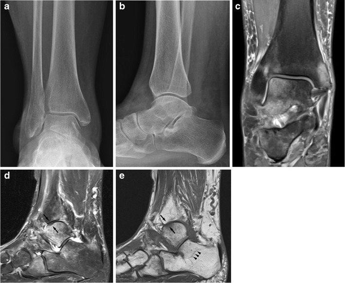 Fig. 5