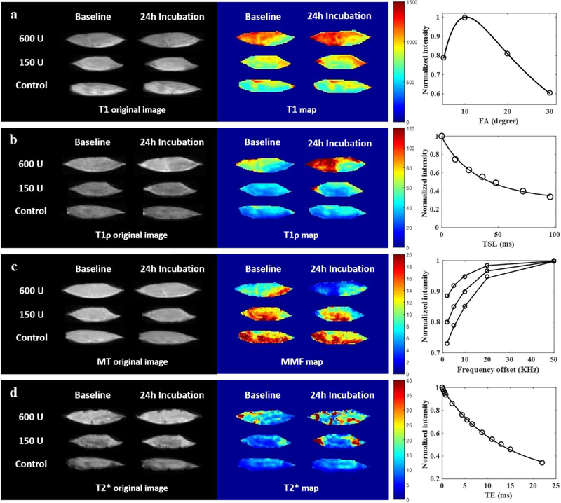 Figure 3: