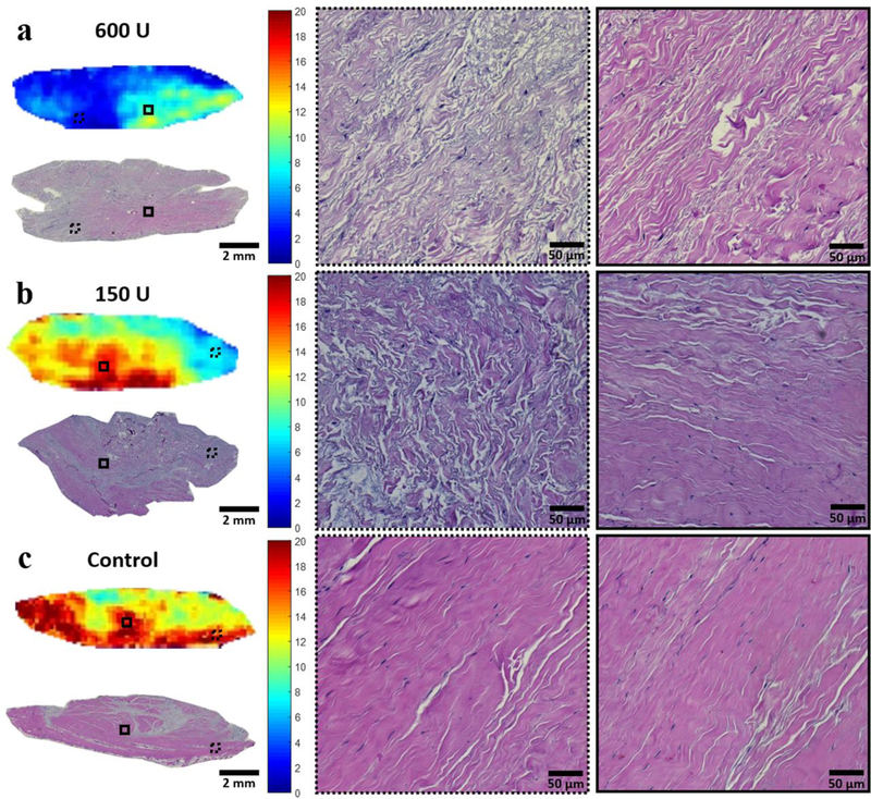 Figure 4: