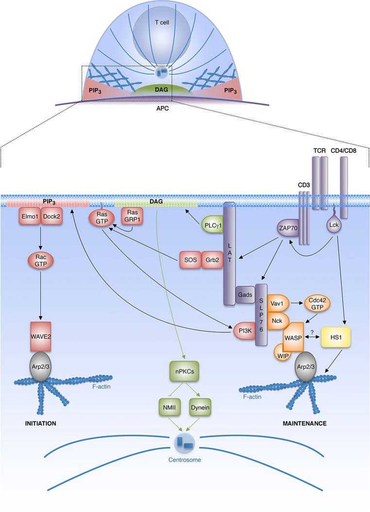 Fig. 2