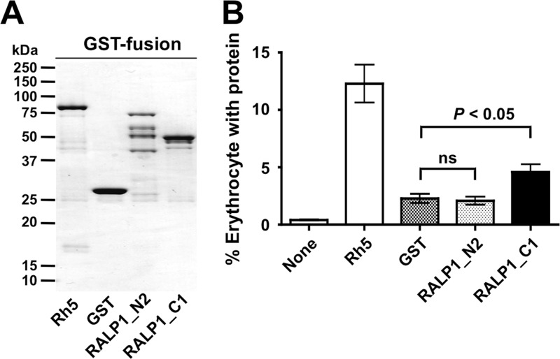 Fig 4