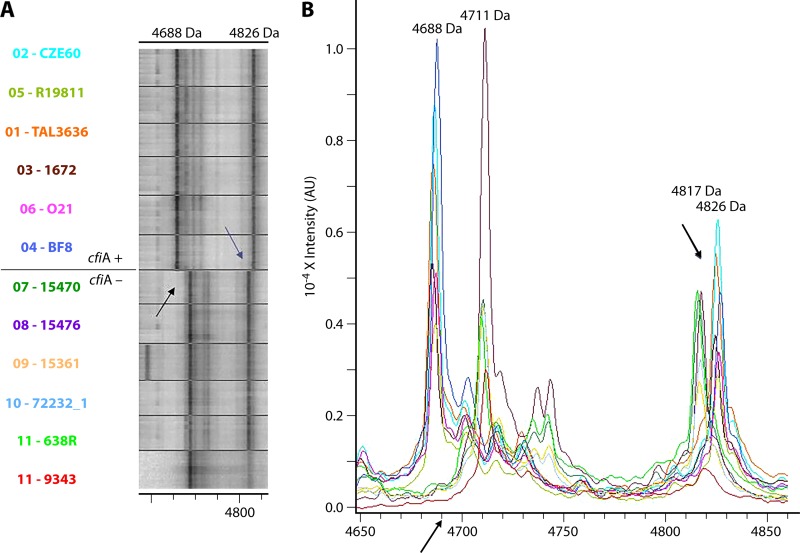 FIG 4